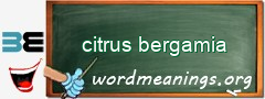 WordMeaning blackboard for citrus bergamia